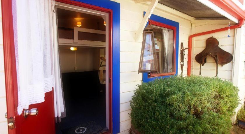 Stables Lodge Backpackers Napier Esterno foto