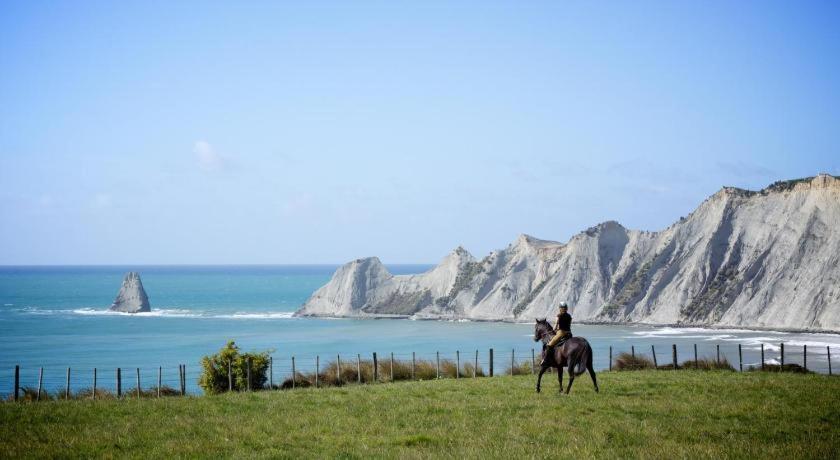Stables Lodge Backpackers Napier Esterno foto