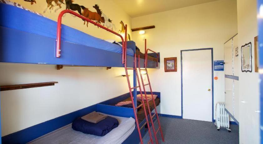 Stables Lodge Backpackers Napier Esterno foto